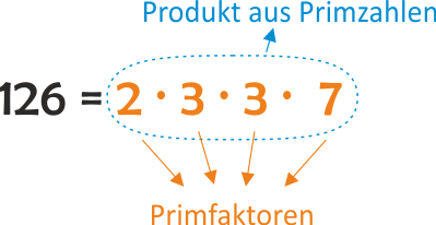 Primfaktorzerlegung