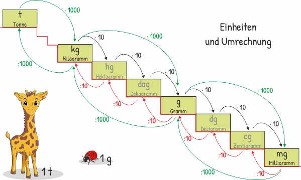 Gewicht - Einheiten und Umrechnung