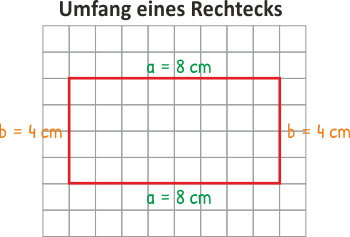 Umfang eines Rechtecks
